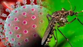 Imagen: Tomada de TV Yumurí